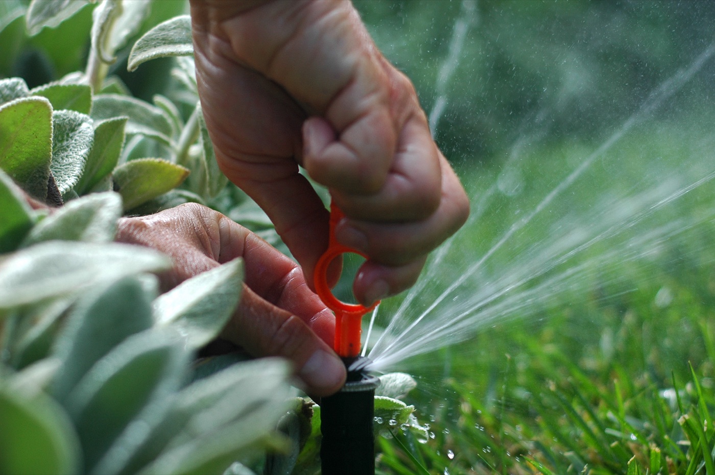 Sprinkler Tune-Up & Maintenance — Action Irrigation, Jacksonville